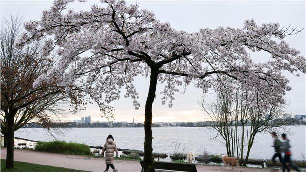 Jogger und Spaziergänger sind am Morgen an der Alster unterwegs.