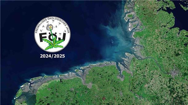FÖJ: Nationalpark Wattenmeer bietet viele Möglichkeiten Junge Menschen, die sich für Natur und Umwelt einsetzen möchten, finden im Nationalpark Niedersächsisches Wattenmeer gut 30 FÖJ-Stellen zur Auswahl.