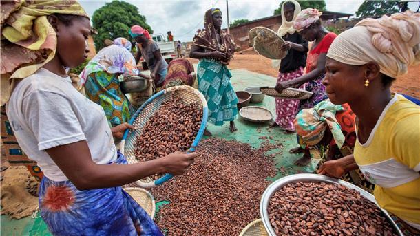 Heil und Schulz in Afrika: „Global Verantwortung übernehmen“ Kakaobäuerinnen in der Elfenbeinküste.