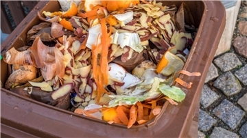 Biomüll in der Tonne