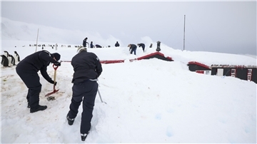 Kaum noch zu sehen, da eingeschlossen von Schnee: Mitglieder der Schiffsbesatzung der HMS Protector und des UKAHT-Teams schaufeln ein  Gebäude in Port Lockroy frei.