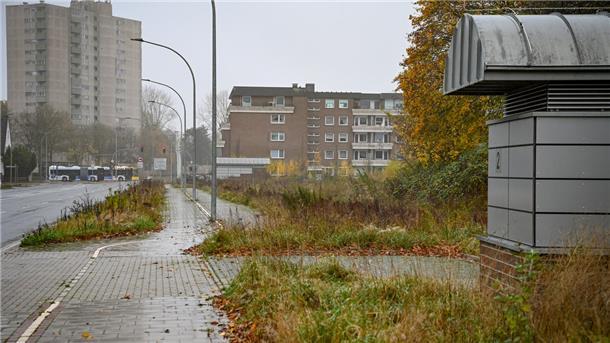 Warten auf Bepflanzung: Deutsche Bahn kommt offenbar Pflicht nicht nach Kein Hingucker: Die Fläche an der Cherbourger Straße sieht noch nicht wieder so aus, wie sie aussehen soll.