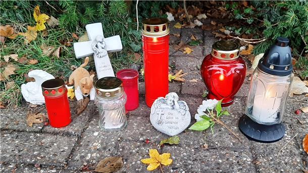 Kerzen, Trauerlichter und ein kleines Stofftier erinnern an Emily. Die Familie und Fans der freundlichen Hündin haben sie dort aufgestellt, wo Emily immer saß.