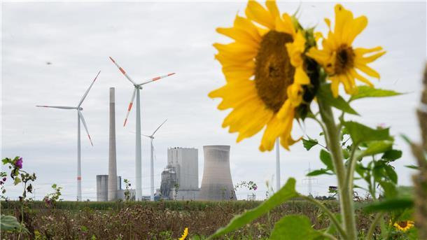 Umweltinnovationen für Klimaschutz: Neue Fördermöglichkeiten im Land Bremen Sonnenblumen Windräder