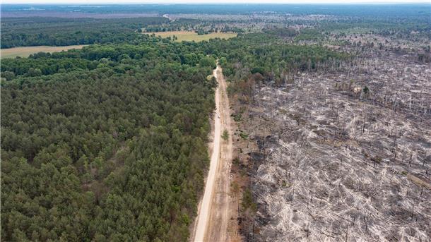 Knapp eine Woche nach Ausbruch des Waldbrandes auf dem ehemaligen Truppenübungsplatz bei Jüterbog südlich von Berlin breitet sich das Feuer noch mäßig aus.