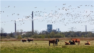 Konflikte zwischen Landwirtschaft und Industrie sind am 31. August Thema eines Gesprächsabends mit den beiden Landesministern Barbara Otto-Kinast und Björn Thümler.