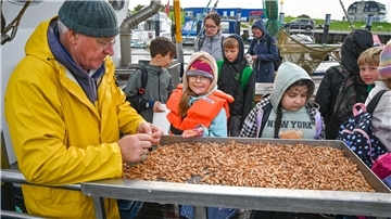 Ein Mann mit gelber Jacke und einigen Schülern. Sie stehen an Bord eines Schiffes und beschäftigen sich mit Krabbenpulen.