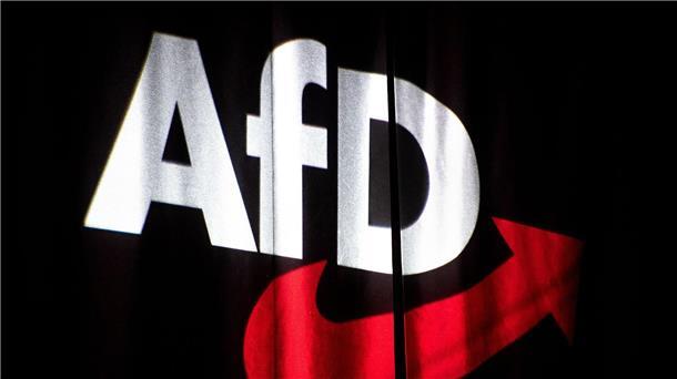 AfD: Irritation in Frankreich wird ausgeräumt Kriselt es zwischen der AfD und Marine Le Pen?