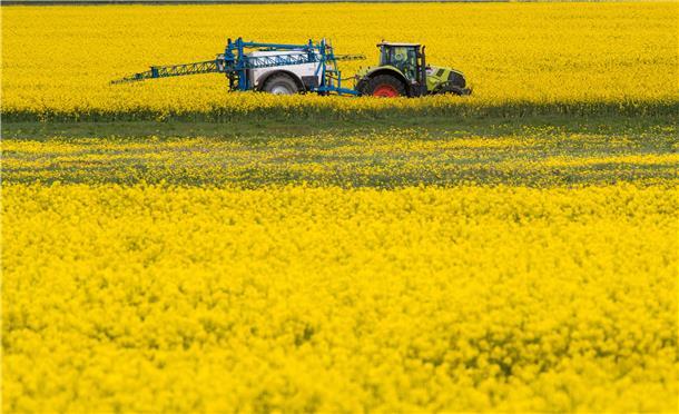 Künftig sollen deutlich weniger Pflanzenschutzmittel eingesetzt, manche Mittel sogar ganz werden.