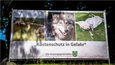 „Küstenschutz in Gefahr“ steht auf einem Plakat, das einen Wolf und ein gerissenes Schaf zeigt.