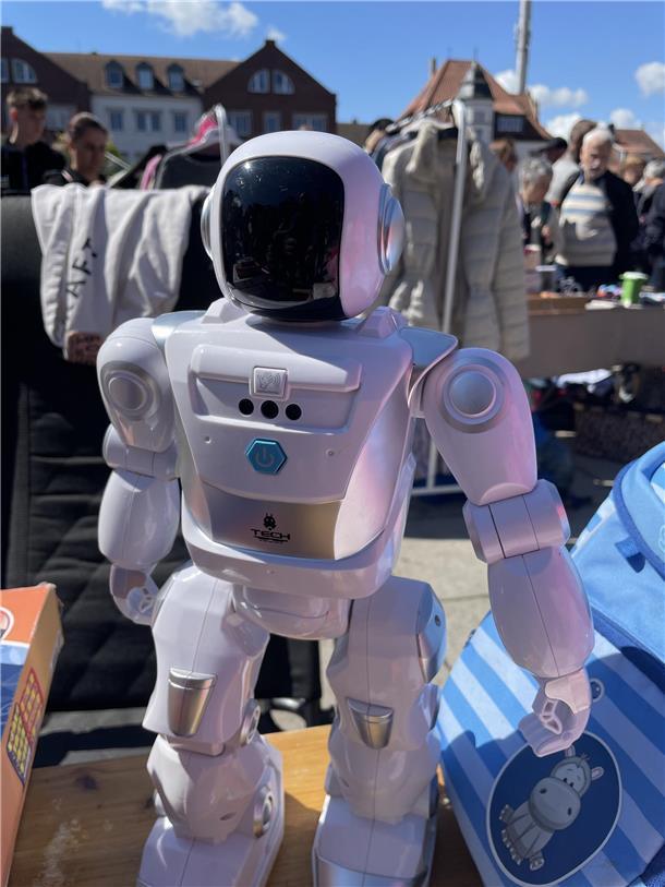 Kult-Flohmarkt in Nordenham: Der Nor-Floh lockte Tausende Besucher in die Innens...