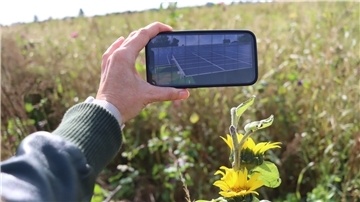 Kurz gemähter Rasen unter und neben Solarmodulen. Dieses Bild kennen viele bereits. Für das, was in Wilstedt entstehen könnte, gibt es offenbar noch keine Bilder.