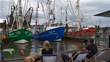 Kutter gucken und vielleicht sogar einmal mitfahren - das ist ein nach wie vor gefragter Klassiker während der Festtage in Fedderwardersiel.