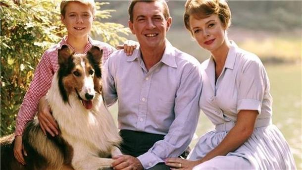 Timmy aus „Lassie“: Hundeliebhaber Jon Provost wird 75 „Lassie“ zählte zu den beliebtesten amerikanischen TV-Serien. (Handout)