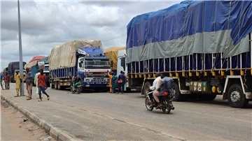 Lastwagen stehen an der Grenze zwischen Nigeria und Niger.