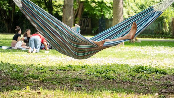 Ifo: Bildungsurlaub und Sabbatical wenig gefragt Laut einer Umfrage nutzen nur wenige Arbeitnehmerinnen und Arbeitnehmer in Deutschland die Möglichkeit, bezahlten Bildungsurlaub zu nehmen oder ein Sabbatical einzulegen.