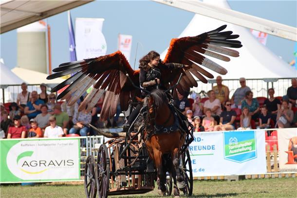 Laut, wild und spektakulär: Die Stuntreiter vom European-Horse-Show-Team begeist...