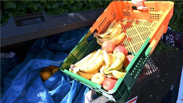 Lebensmittel vom Supermarkt landen manchmal in einem Müllcontainer.