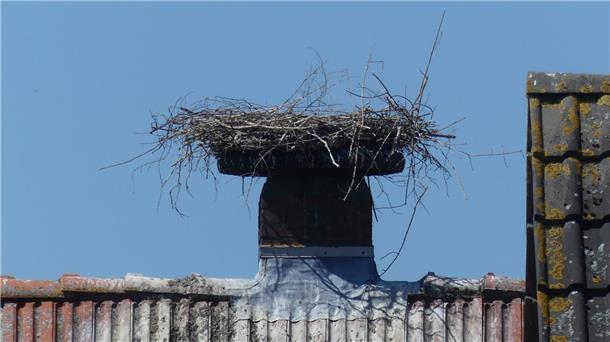 Ein verlassenes Storchennest auf einem Hausdach in Holßel. Die Störche haben ihre Eier verloren und bleiben nun dem Nest fern. 
