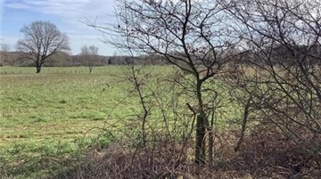Leherheide bekommt endlich sein neues Landschaftsschutzgebiet. Dafür hat nun der Bauausschuss den Weg frei gemacht.