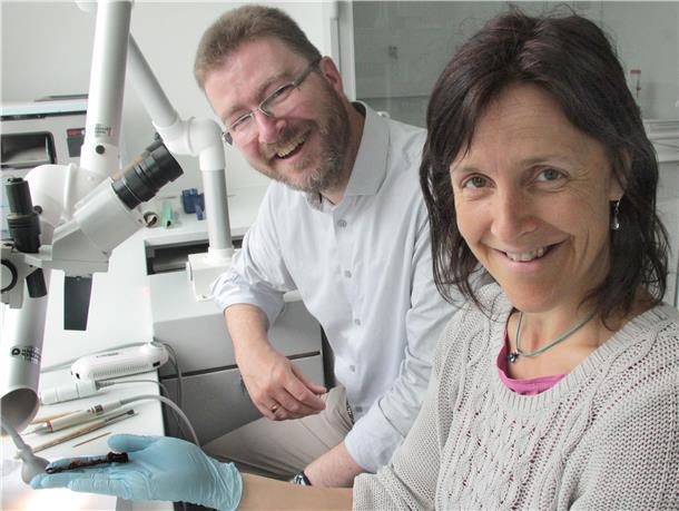 Lena Geidner und Dr. Stefan Hesse, der Leiter der Rotenburger Kreisarchäologie. Die Restauratorin hält eine 2020 in der Gemarkung Sittensen gefundene eiserne Pinzette zur Körperpflege (zwischen 700 und 400 Jahren vor Christus) in Händen.
