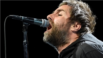 Mann mit Bart singt am Mikrofon