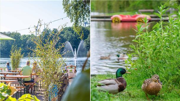 Links der Blick auf den Biergarten am Haus am See im Speckenbüttler Park, rechts der Bootsteich im Bürgerpark.  