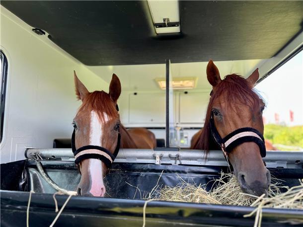 Links Idalo d´Auvillier, rechts Hangoun du Bocage