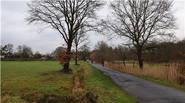 Links und rechts vom Weg 89 soll in Wulsdorf ein neues Baugebiet entstehen. Ob die Idee umgesetzt wird, steht noch nicht fest. Zunächst ist geplant, den Flächennutzungsplan zu ändern.