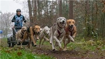 Lisa Pannenberg mit ihren Hunden. 