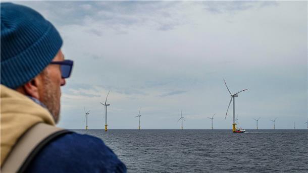 Mann blickt auf einen Windpark