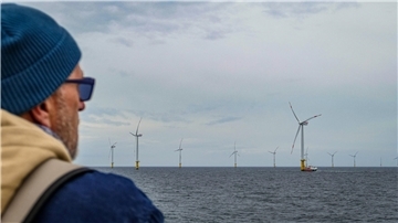 Mann blickt auf einen Windpark