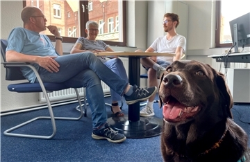 Lotta hört bei einer Redaktionskonferenz zu. Sie ist nicht der einzige Hund in der Kreiszeitung, der ab und an zu Besuch ist. Manchmal bringt eine Mediaberaterin ihren Spencer mit.