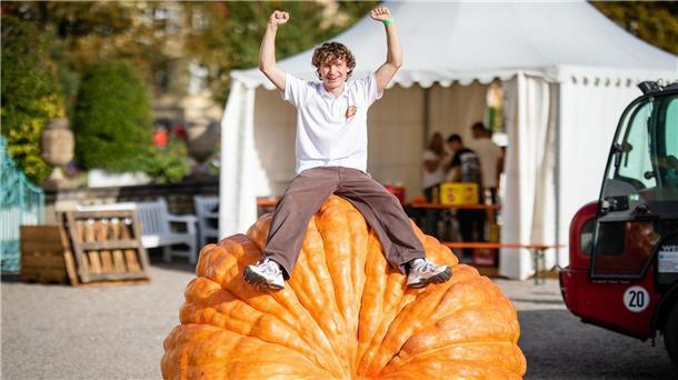 Bei der Kürbis-EM in Ludwigsburg gewinnt ein Bayer Luca Stöckl ist der neue Europameister.