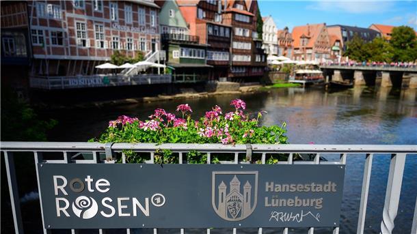 150.000 Übernachtungen in Lüneburg durch „Rote Rosen“ Lüneburg profitiert seit fast 20 Jahren von den „Roten Rosen“.