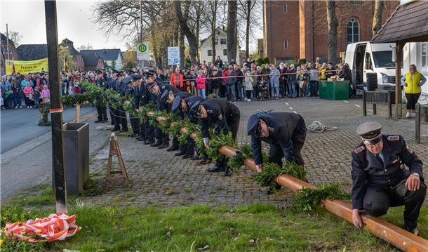 Maibaumsetzen in Stollhamm.