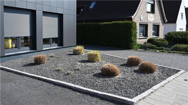 Manche sind wenigstens von einem zarten Grün unterbrochen: Schottergärten sind den Gemeinden im Kreis Cuxhaven ein Dorn im Auge.