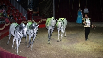 Manege frei: Circus Salino bietet ein buntes Programm für Jung und Alt.