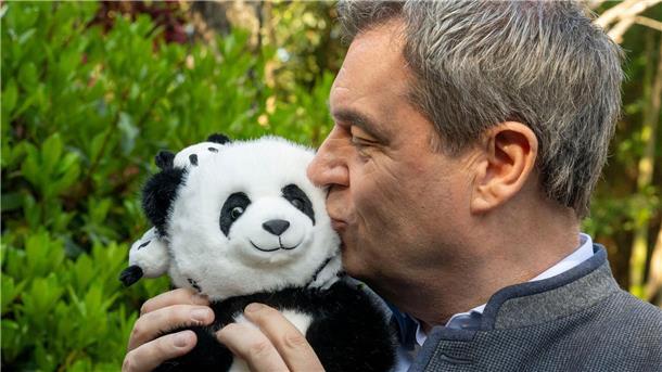 Markus Söder herzt einen Plüsch-Panda.