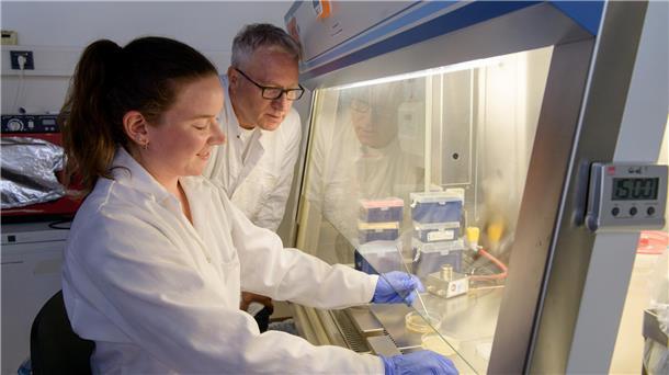 Forscher der Hochschule Bremerhaven bringen Zellen zum Leuchten Laborarbeit