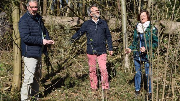 Umgekippte Bäume: Was mit den Fichten im Bürgerpark passieren soll Mathias Neumann, Thomas Reinicke und Sabine Kranz machten sich ein Bild von den Zuständen im Bürgerpark.