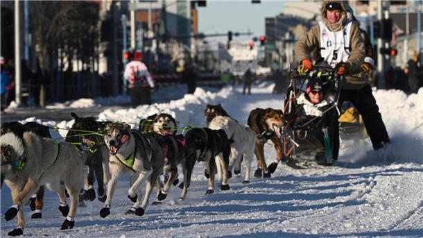 Größtes Schlittenhunderennen der Welt gestartet Mats Pettersson aus Schweden beim Iditarod -Schlittenhunderennen in Anchorage, Alaska.