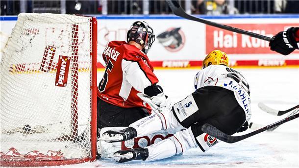 Ein Eishockeyspieler schießt im Fallen ein Tor für die Fischtown Pinguins gegen die Kölner Haie.
