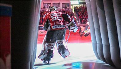 Maximilian Franzreb, Torhüter der Fischtown Pinguins, spielt bisher eine überragende Saison.