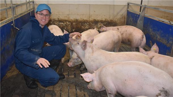 Mehr Platz im Stall: Bei Christoph Haidinger hat jedes Schwein einen Quadratmeter für sich.