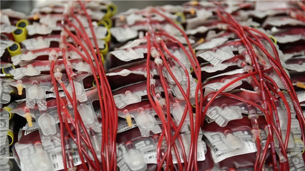 Homosexuelle Männer sollen leichter Blut spenden dürfen Mehrere Beutel mit Erythrozyten-Konzentrat (rote Blutkörperchen) einem Kühlraum.