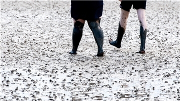 Menschen im Wattenmeer