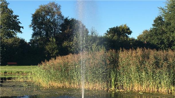 Mehrgenerationenpark Ahlerstedt. Bei wem die Ideen sprudeln, aber nicht das Geld, der kann über die Leader-Region Moorexpress-Stader Geest einen Antrag auf Fördergeld stellen.