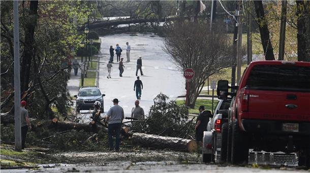 Tornados, Tod und Verwüstung in den USA  Menschen arbeiten in Cammack Village (Arkansas) daran, Bäume auf der Straße zu beseitigen, nachdem ein Tornado durch die Gegend gefegt ist.