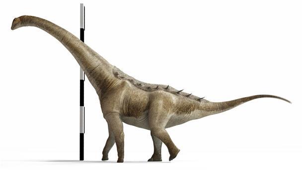Neuer Langhals-Dinosaurier in Spanien entdeckt Menschen hätten dem in Spanien neu entdeckten Dinosaurier nicht einmal bis zur Schulter gereicht.